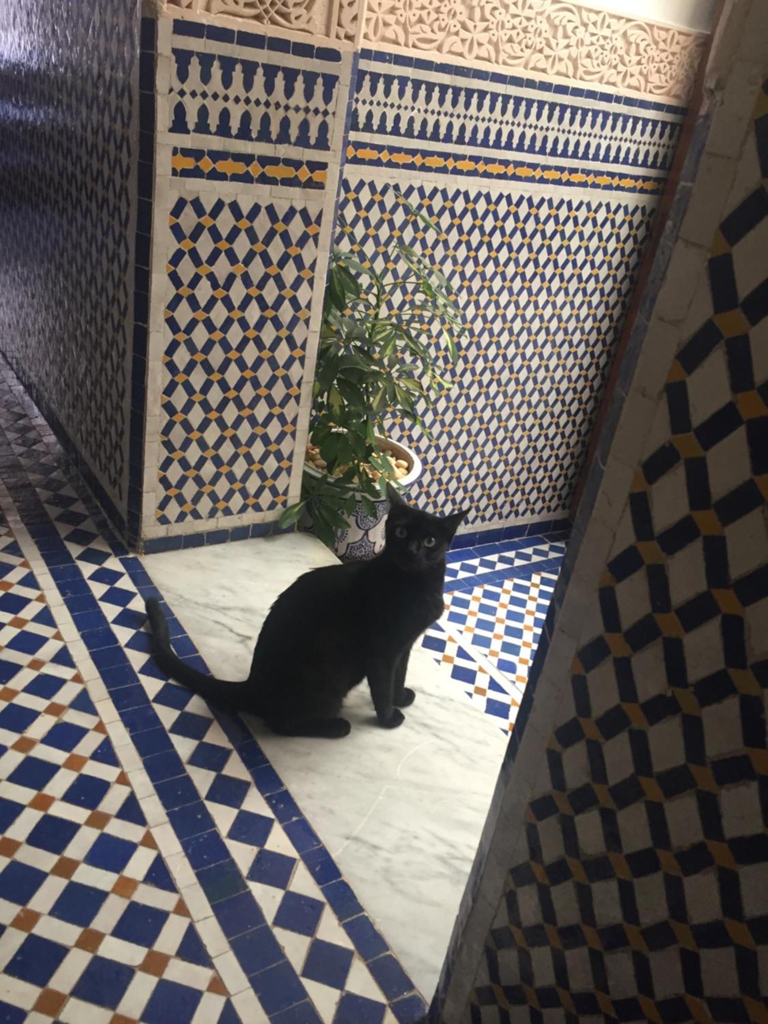 Dar D'Or Fes 호텔 외부 사진