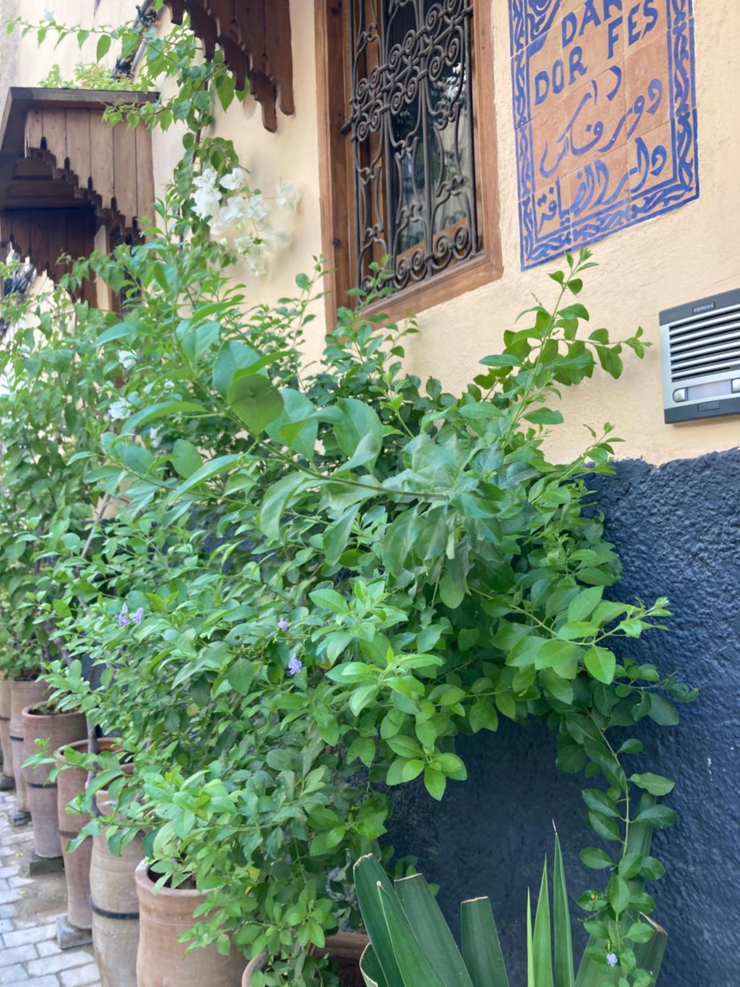 Dar D'Or Fes 호텔 외부 사진
